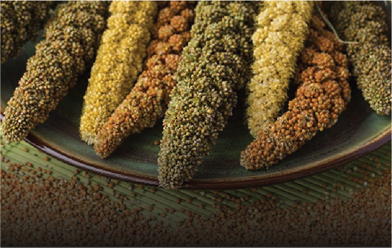 TDH Millets Millet Grains by Tenali Double Horse